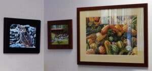Doug Boomer Paintings Image