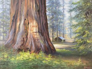 Redwood Tree Grove Painting