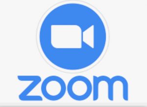 Zoom Logo